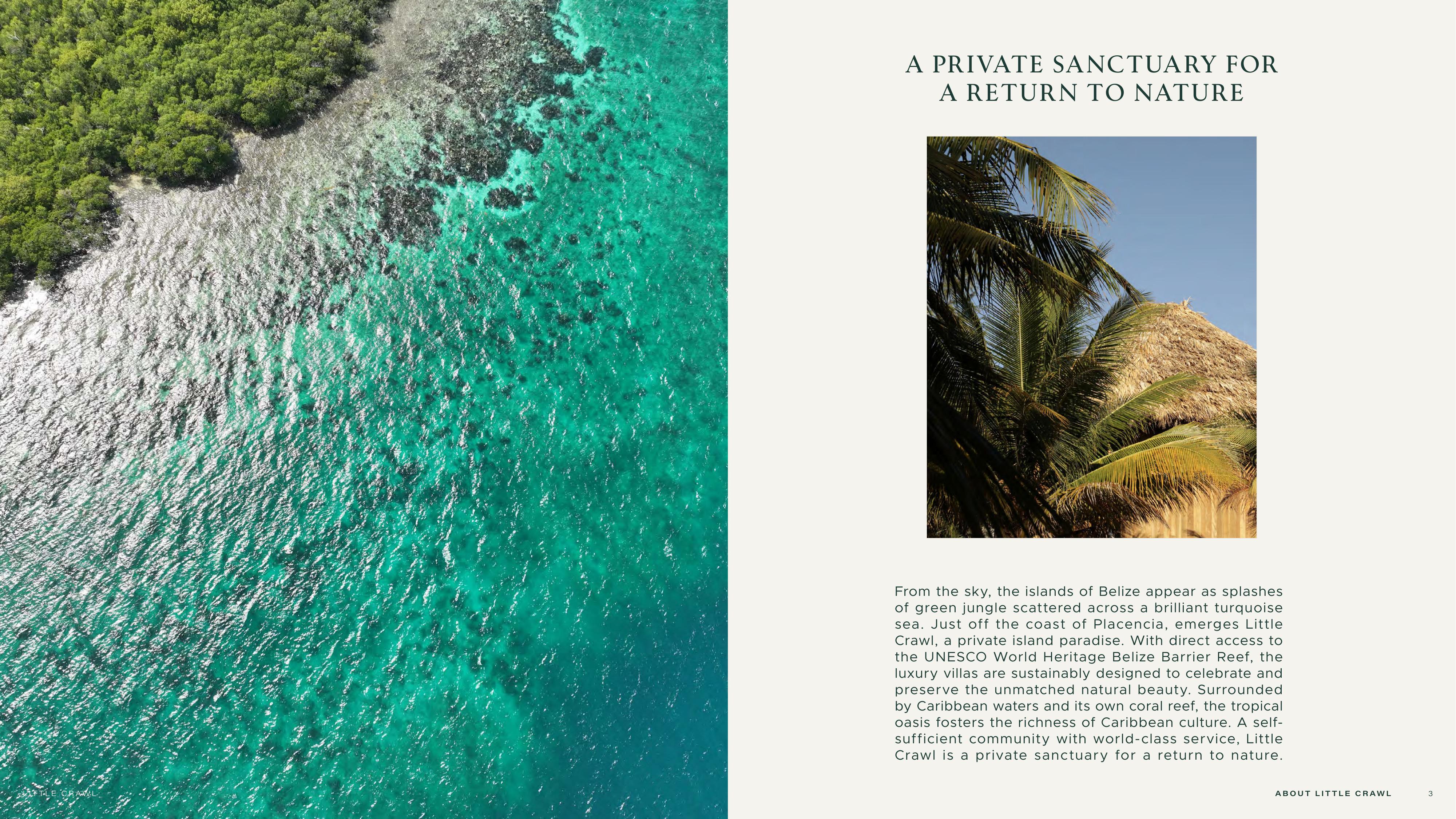 Beach and Nature